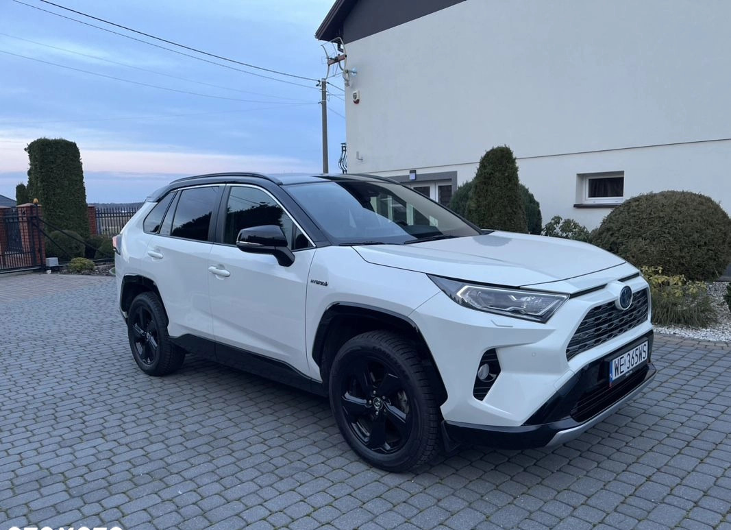 Toyota RAV4 cena 144900 przebieg: 84000, rok produkcji 2019 z Pajęczno małe 704